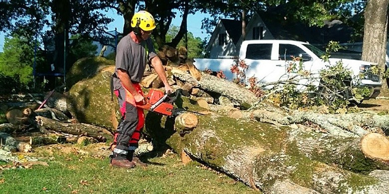 Tree Removal