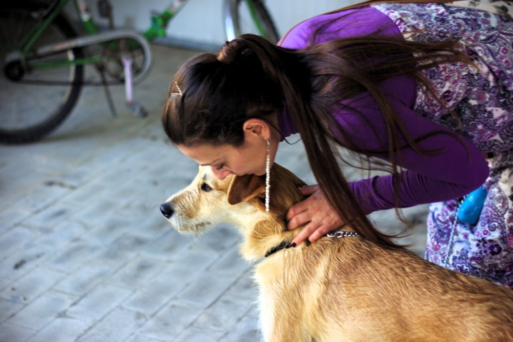 Relocating with a Pet Advantages to Letting Professionals Handle the