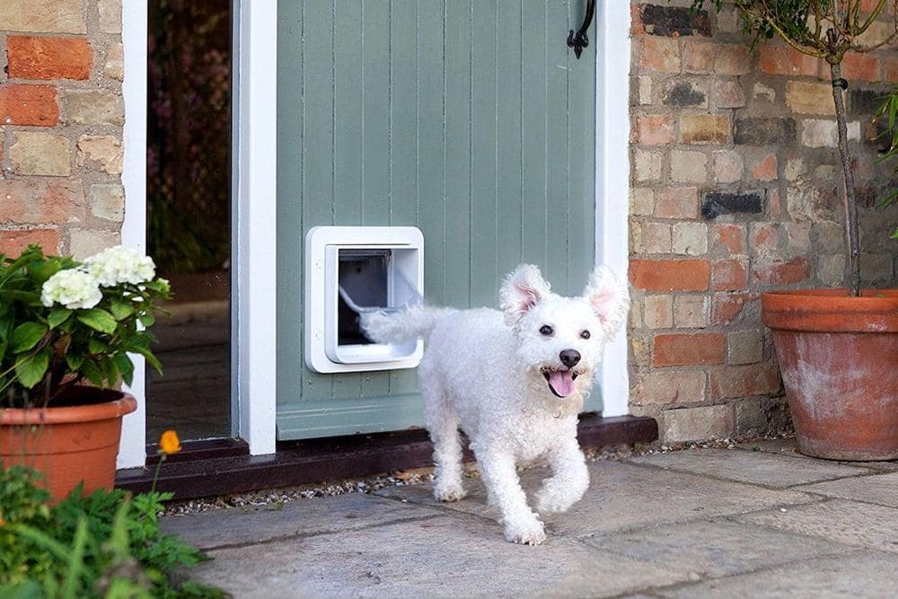 Dog Doors Give Your Pet the Freedom He Deserves Opinion Point