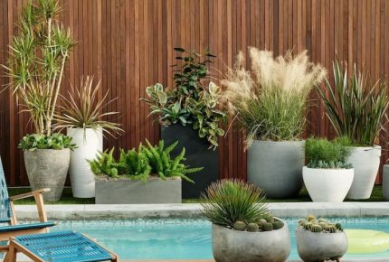 garden pots and urns