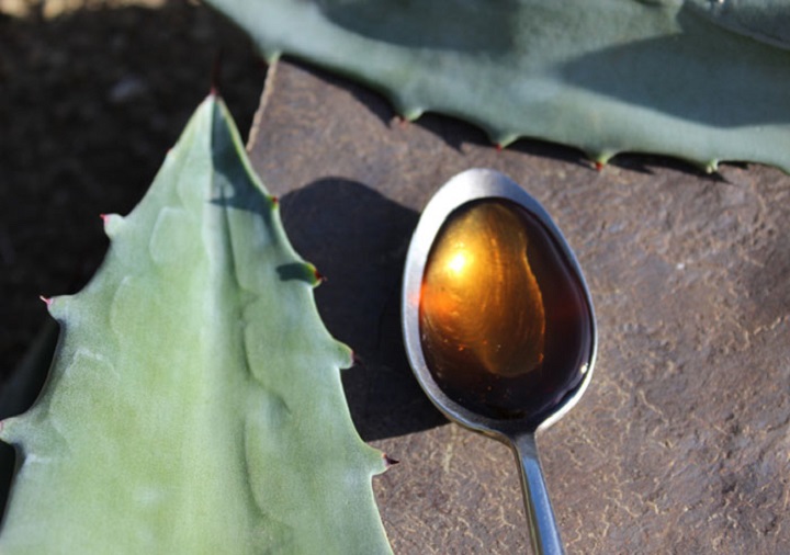 agave syrup in spoon