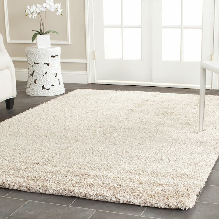 rug in living room