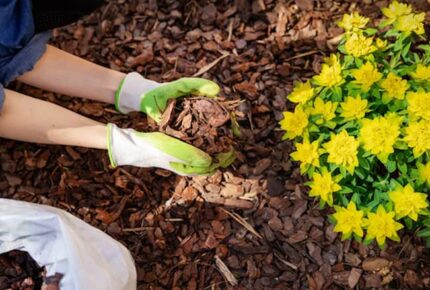 garden-mulch
