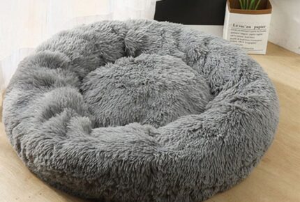 The Ultimate Guide to Choosing the Right Dog Bed for Your Furry Friend